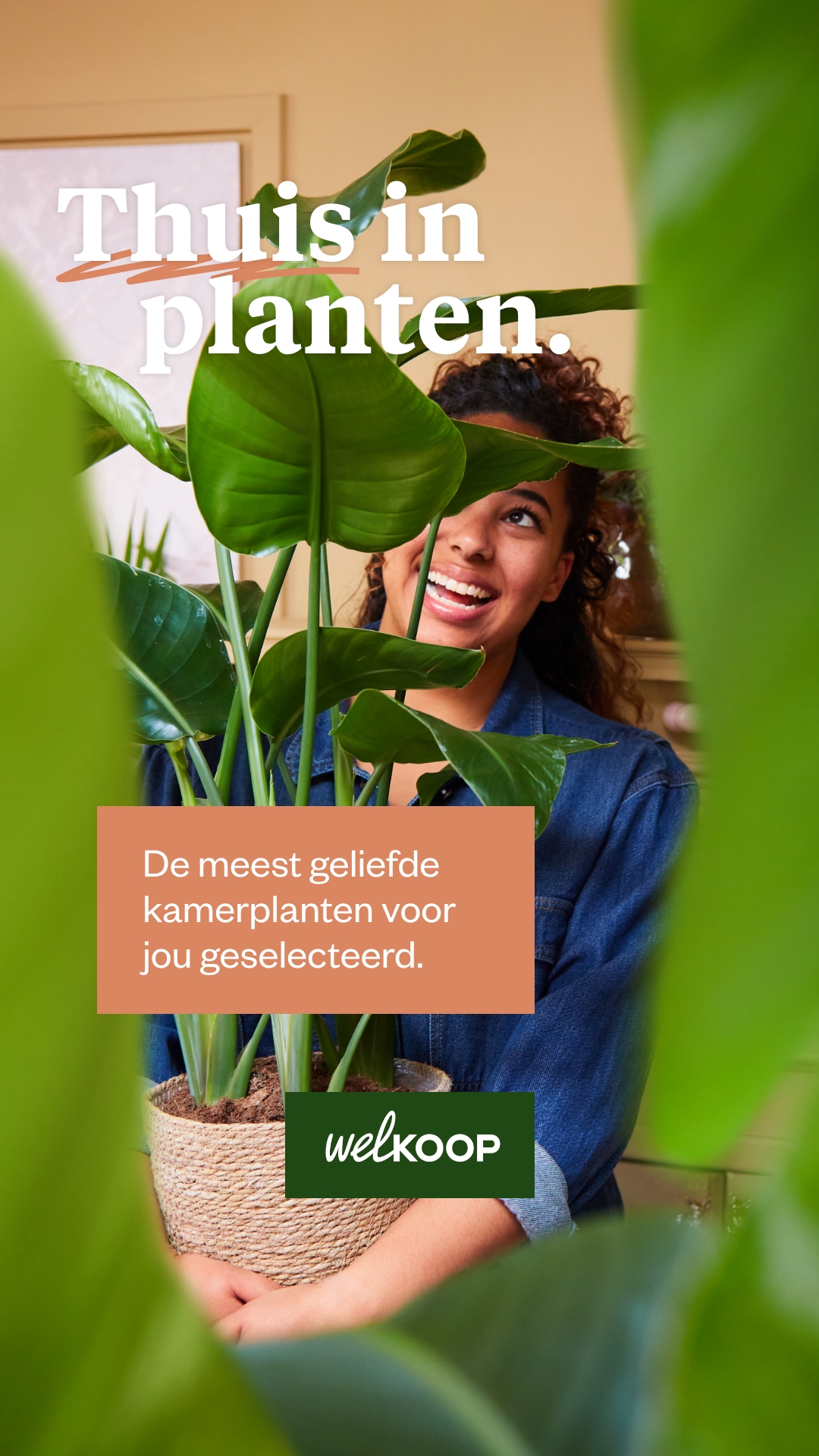 Welkoop Facebook ad