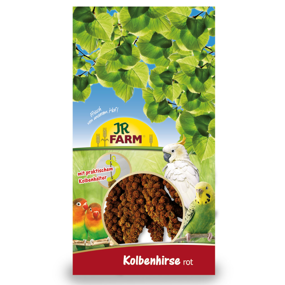 zooplus Facebook ad: Alimenti e accessori per animali domestici 12% di…