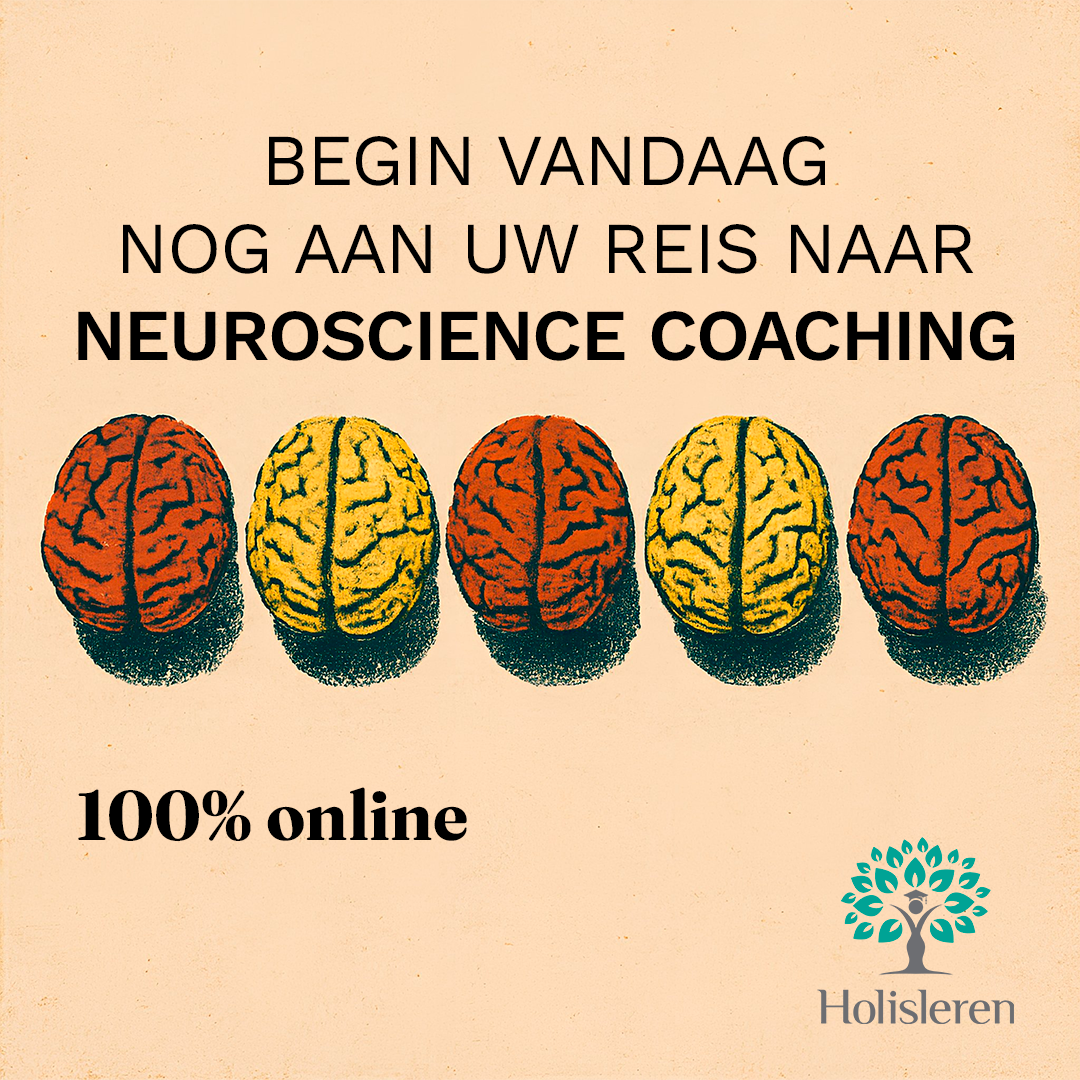 Holisleren Facebook ad