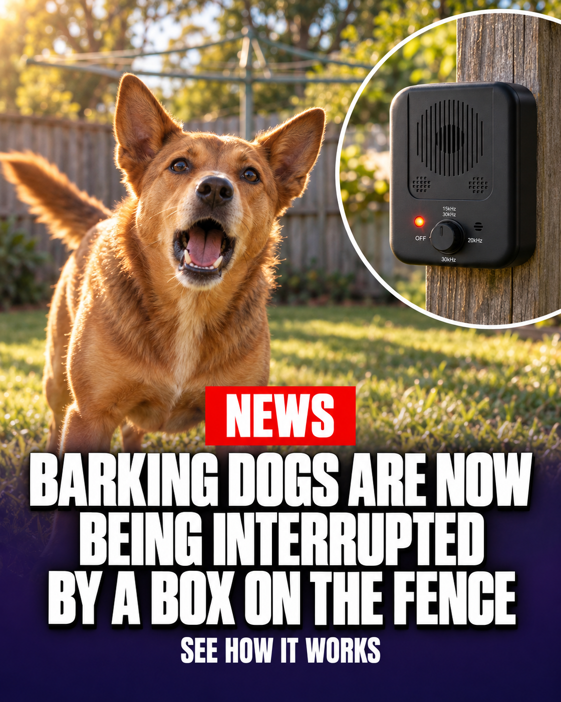Canine Corner Australia Facebook ad: Barkbuddy hears the bark and responds
