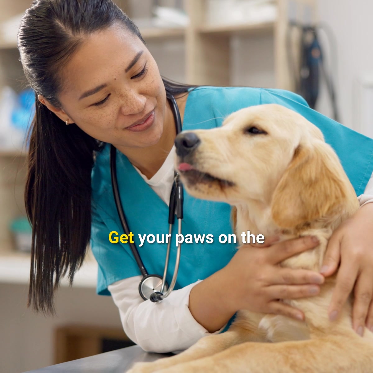 Penn Foster Facebook ad: Online Veterinary Tech Program