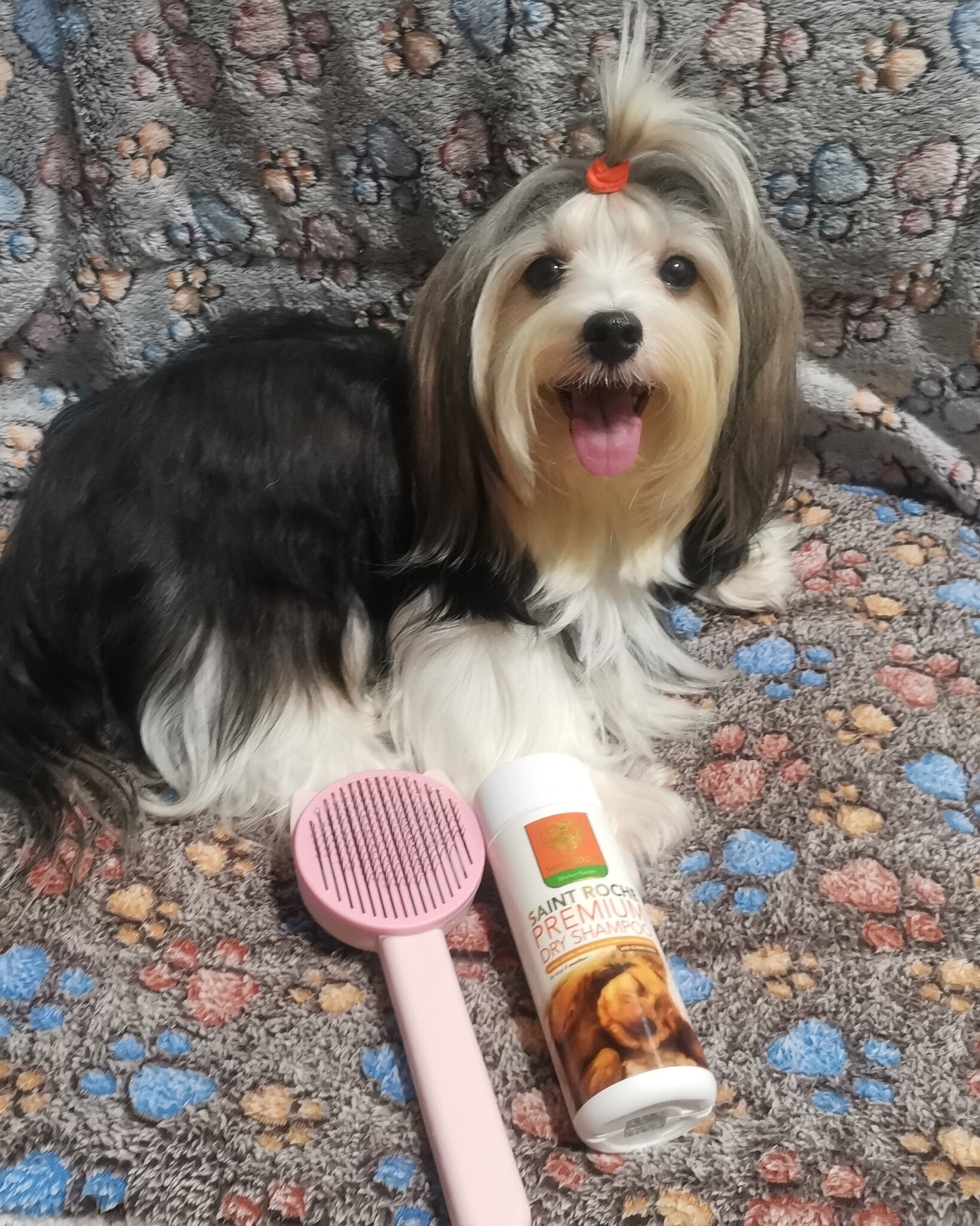 Saint Roche Premium Dog Shampoo Facebook ad