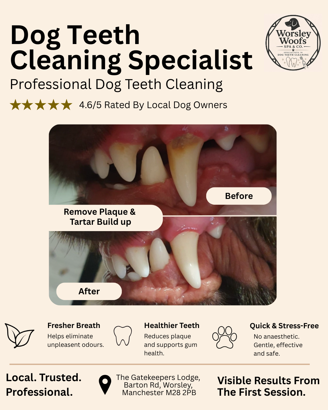 Worsley Woofs Spa & Co. Facebook ad from Jun 16, 2026