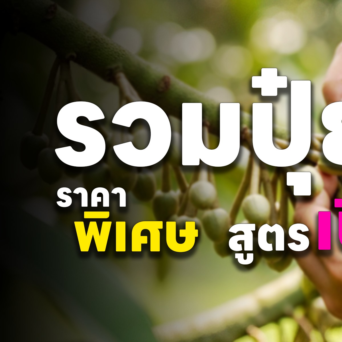 สถาณีเกษตรออนไลน์ Facebook ad