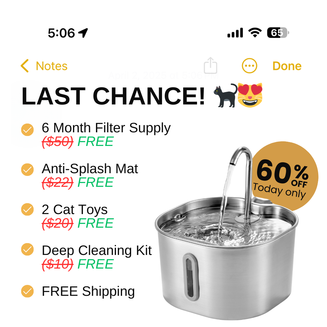 KittySpout Facebook ad