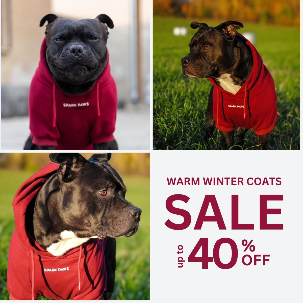 Spark Paws Facebook ad