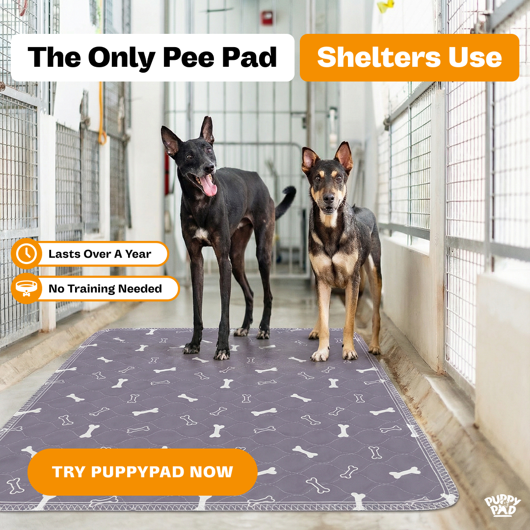 PuppyPad Facebook ad