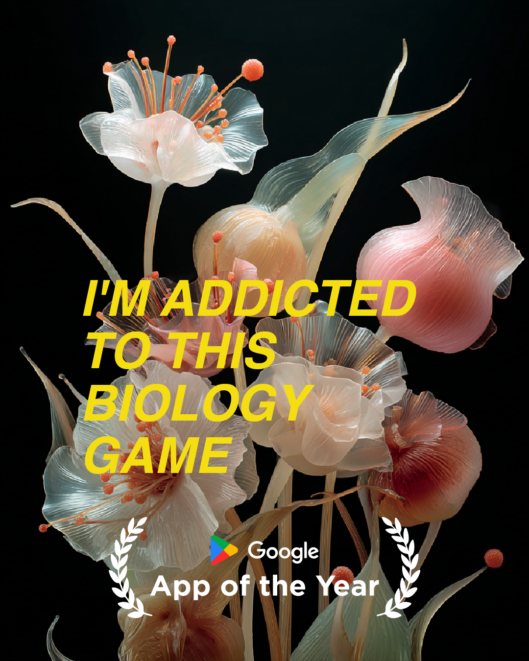 Imprint: Learn Visually Facebook ad