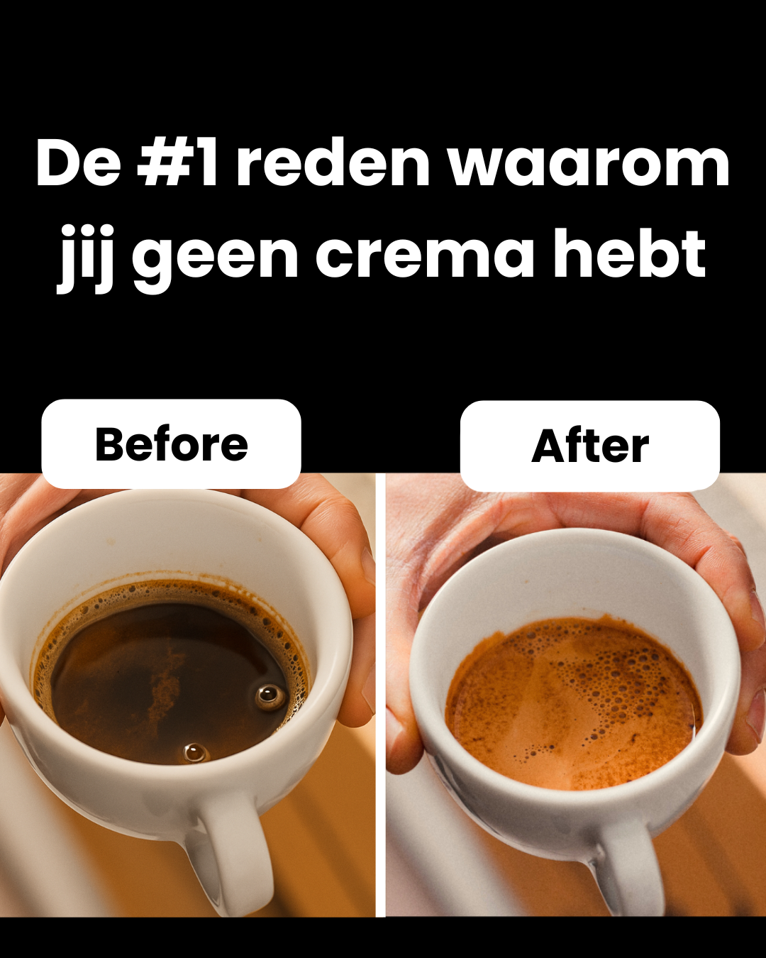 Zwarte Roes coffee Facebook ad