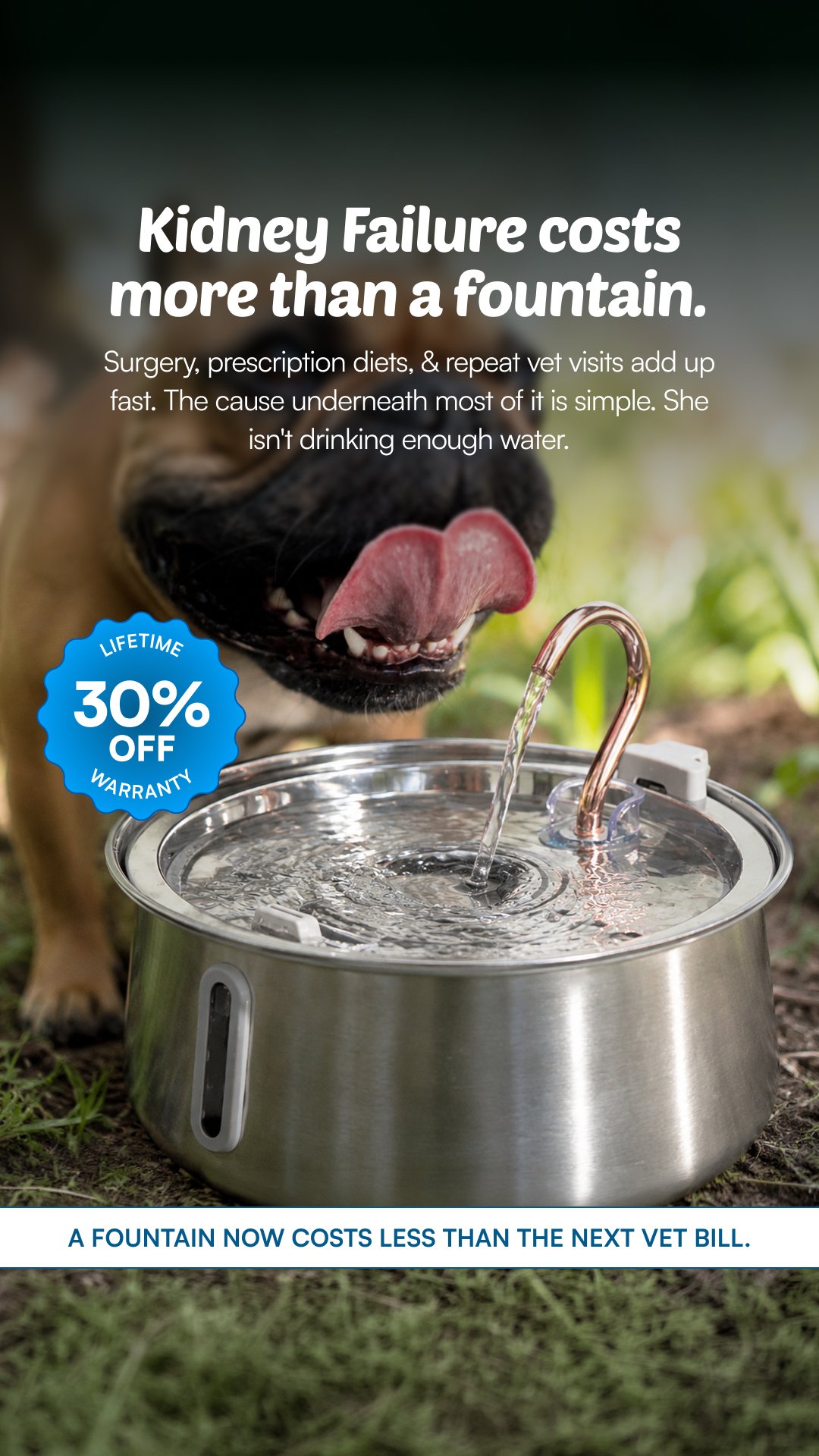 Rhykin Pet Co Facebook ad