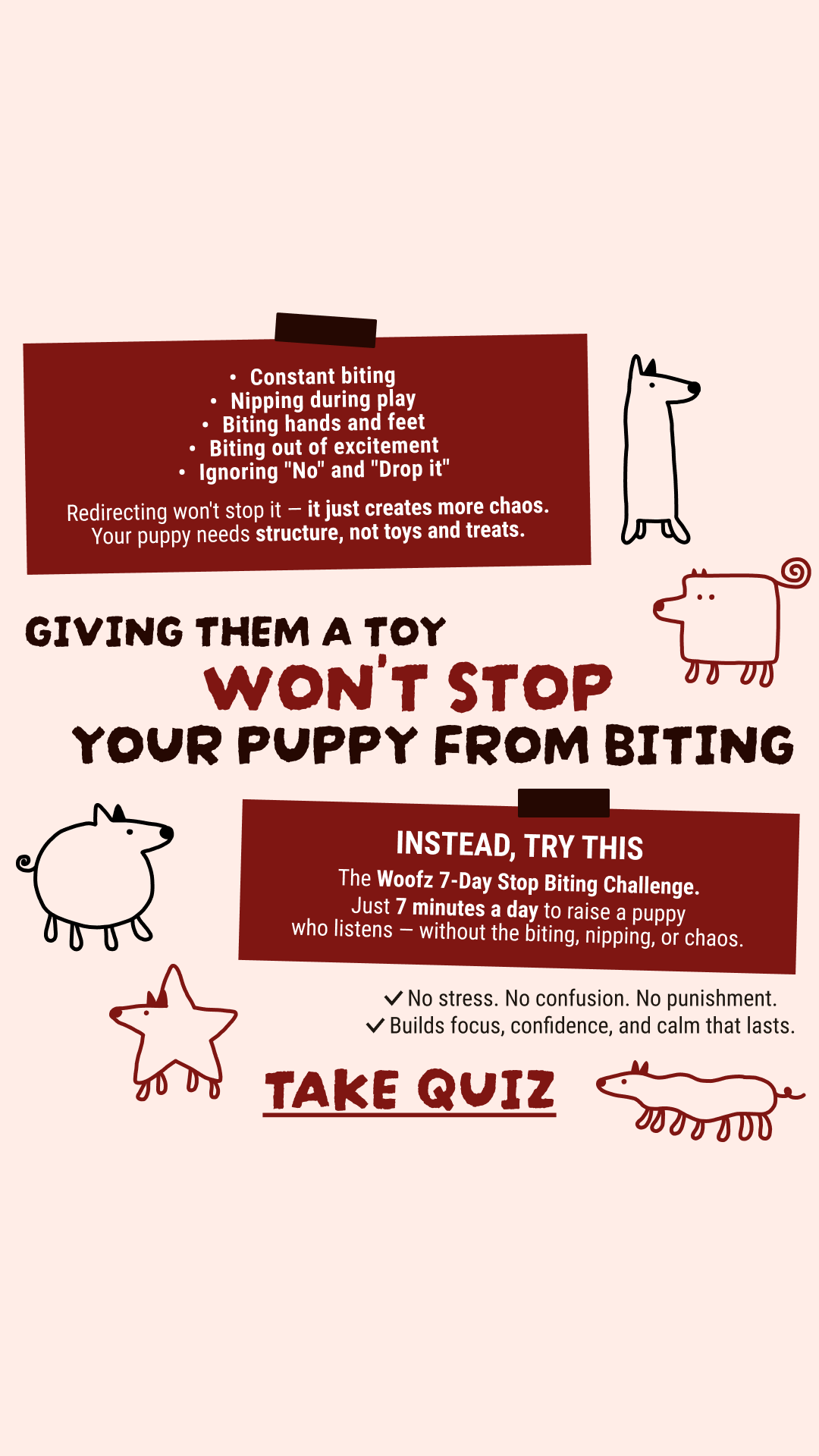 Dog Training & Tips Facebook ad