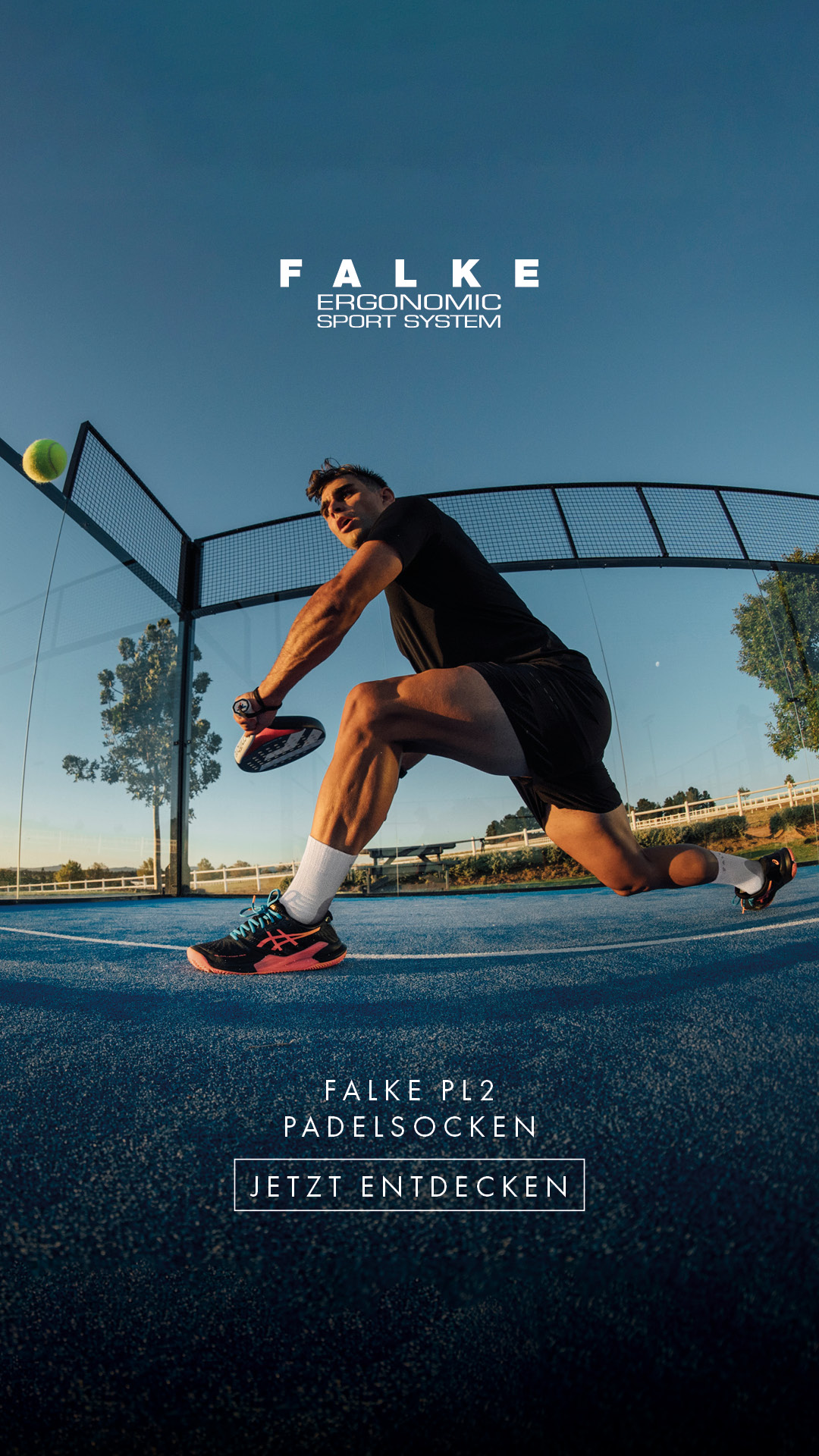 FALKE Ergonomic Sport System Facebook ad