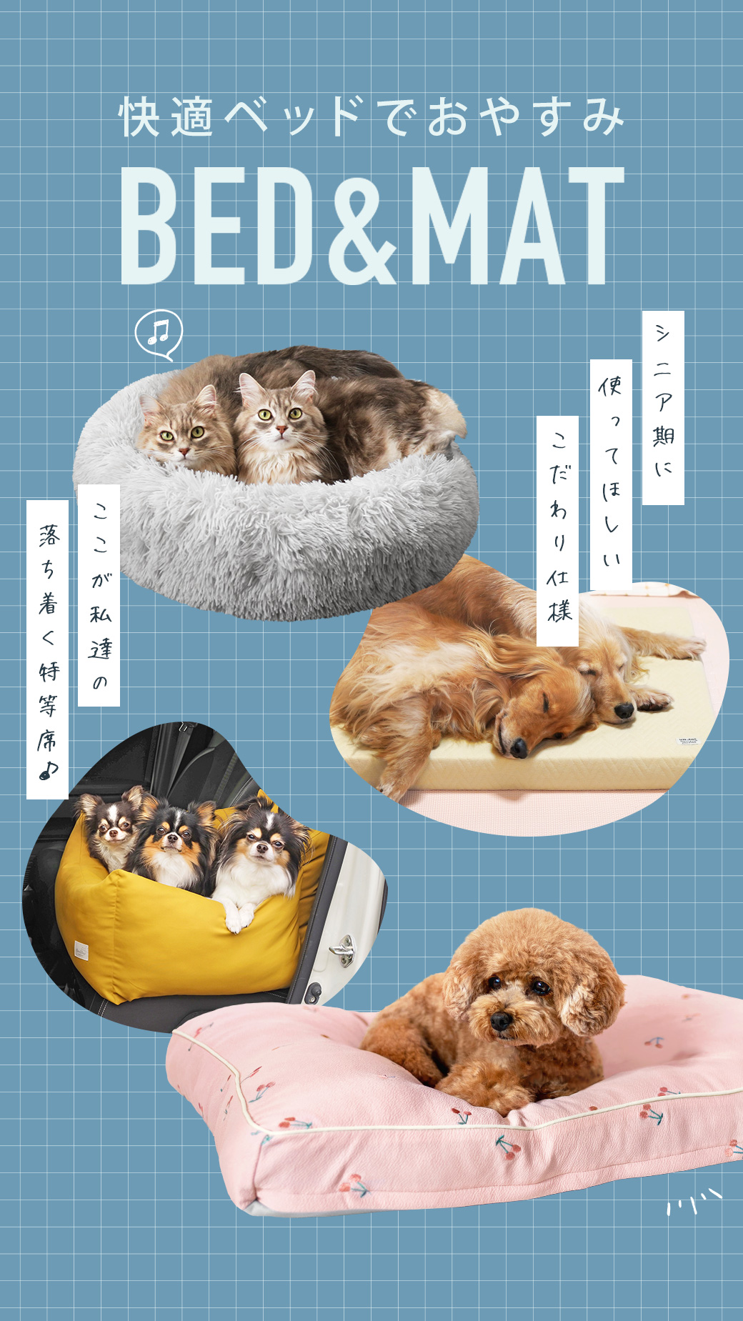 IDog＆iCat Facebook ad