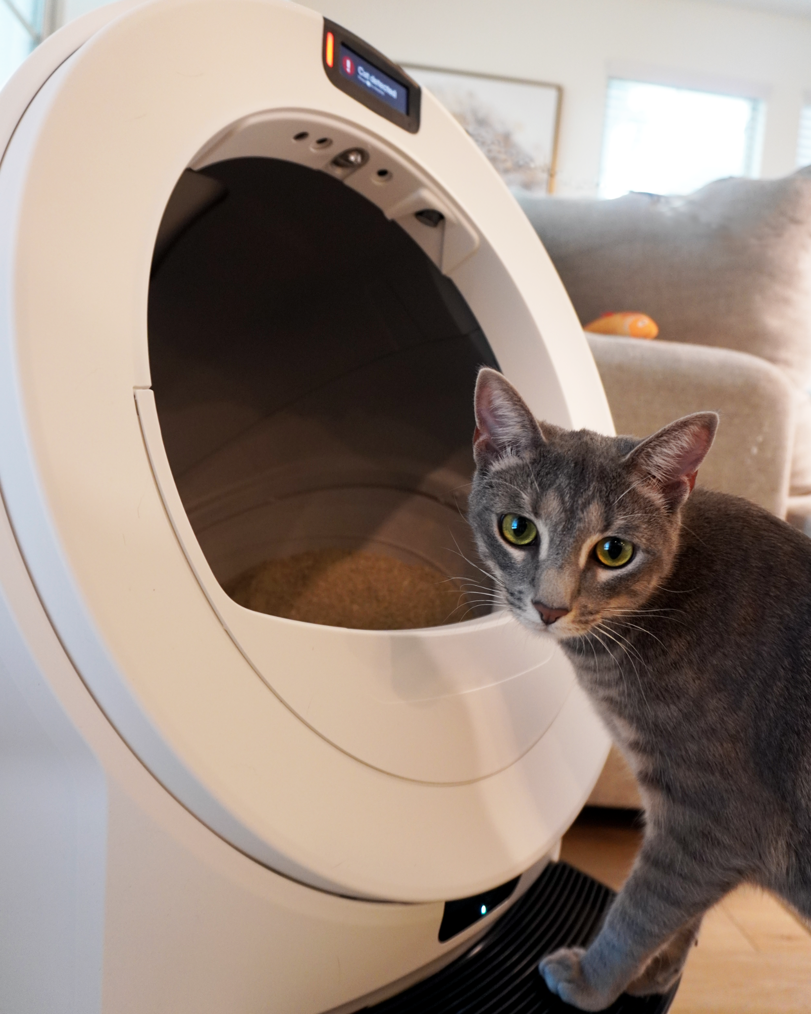 Whisker Facebook ad
