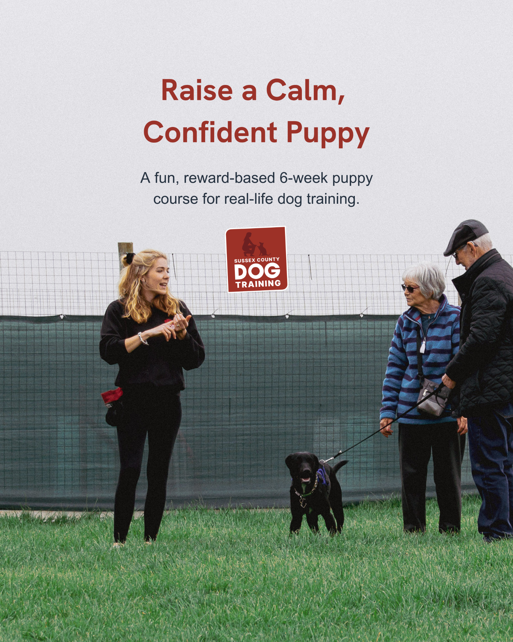 Sussex County Dog Training Facebook ad: Start Your Puppy Off on the Right Paw!