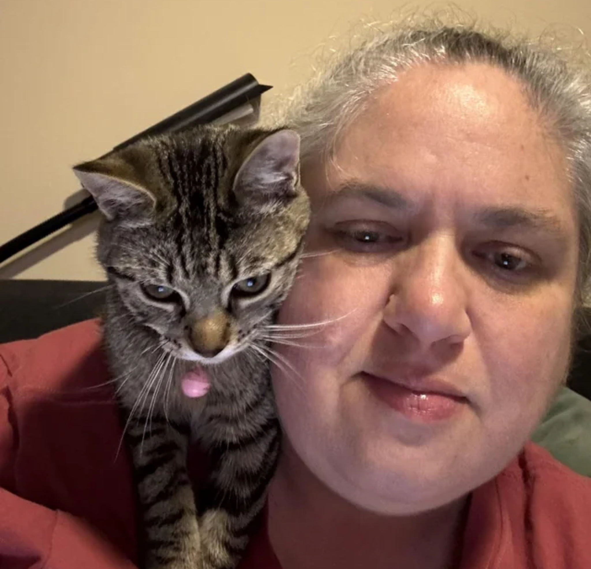 Vet Life Magazine Facebook ad