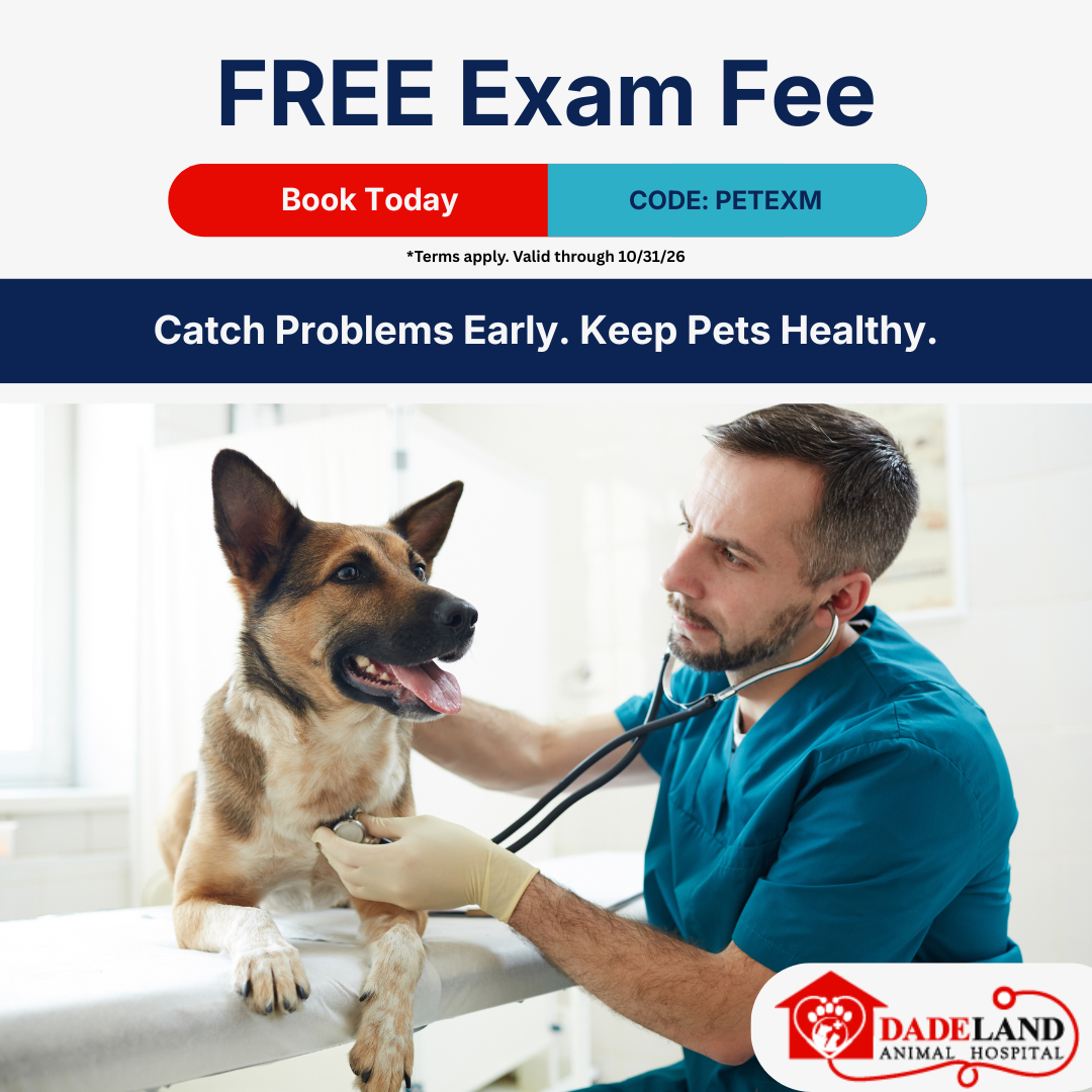 Dadeland Animal Hospital Facebook ad: It's Been A While. Let's Check In.