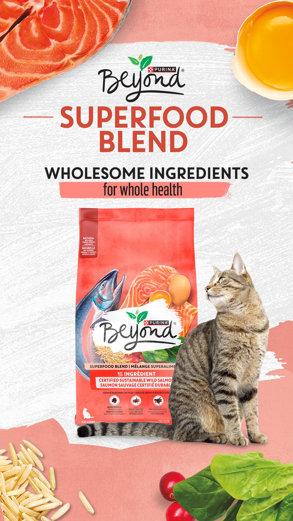 Purina Canada Facebook ad