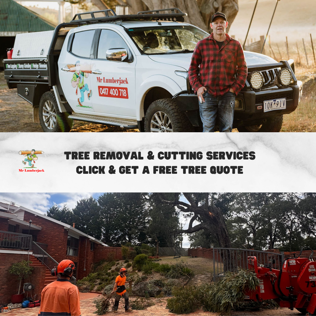 Mr Lumberjack Facebook ad: Free Tree Removal Quotes | Melton & Bacchus Marsh