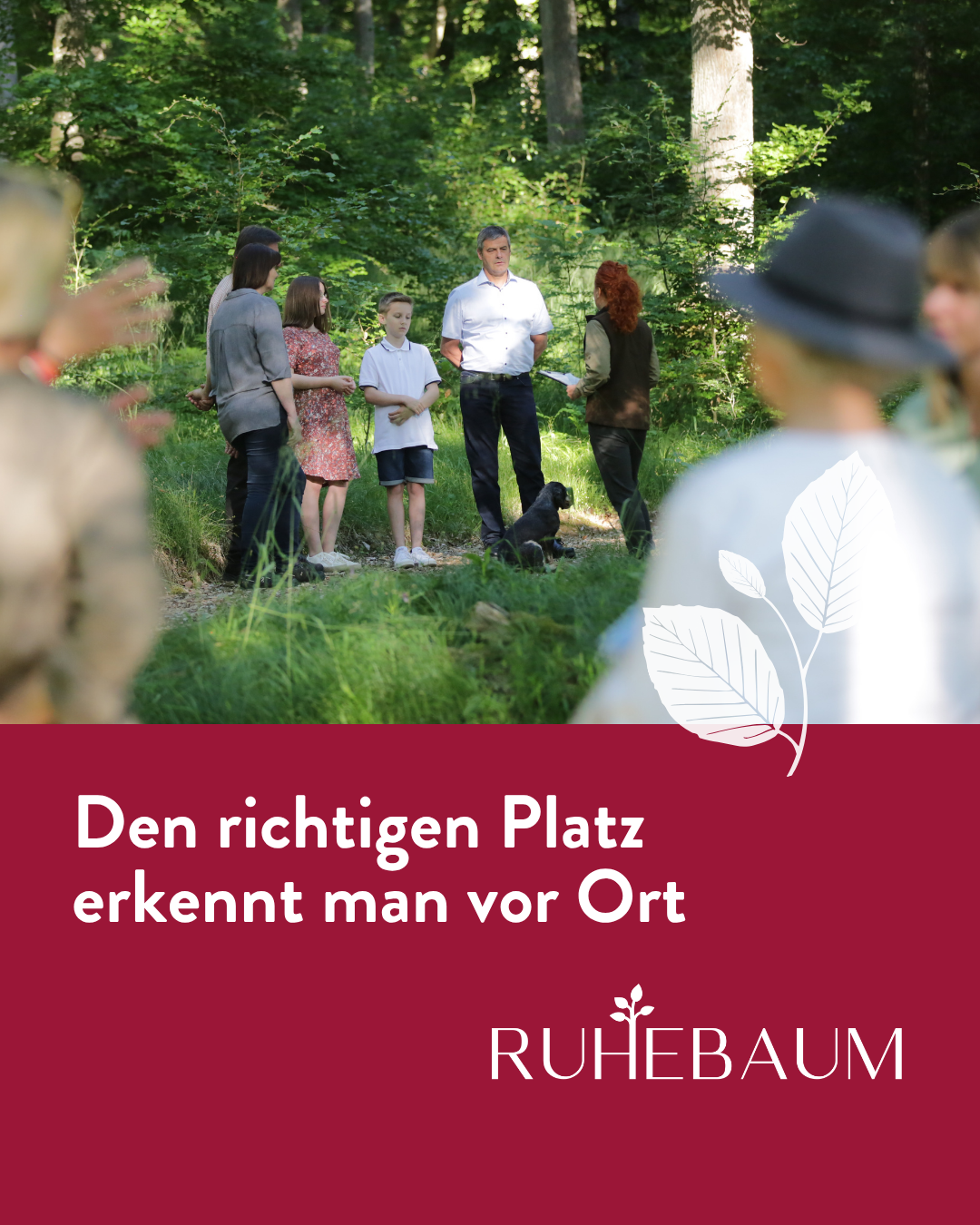 Ruhebaum - Frieden finden im Wald Facebook ad: Naturbestattung in Ihrer Nähe