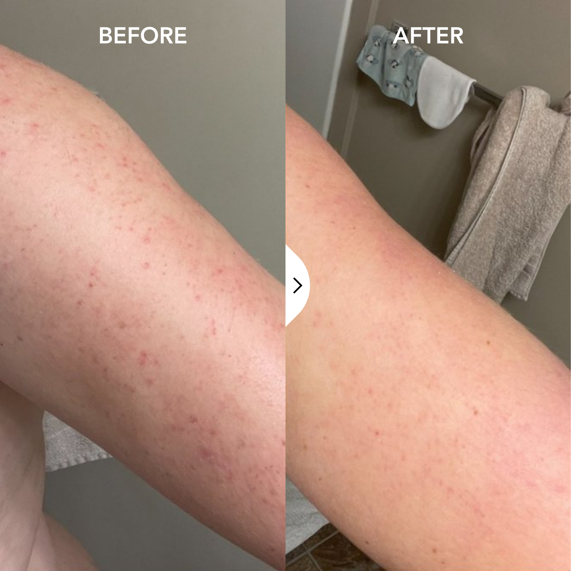 Feline Dermatology Facebook ad