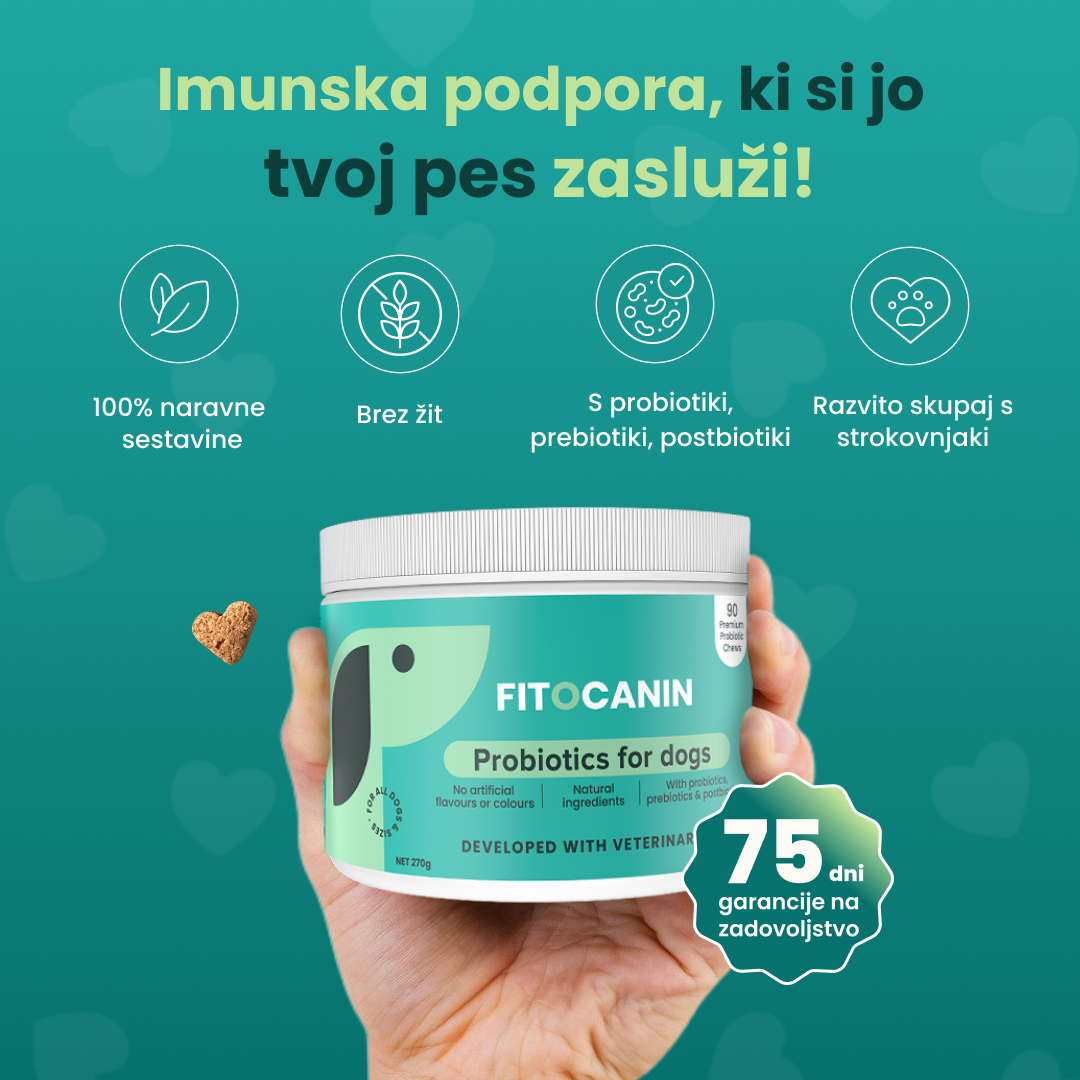 Fitocanin-slo Facebook ad: Za zdravega psa
