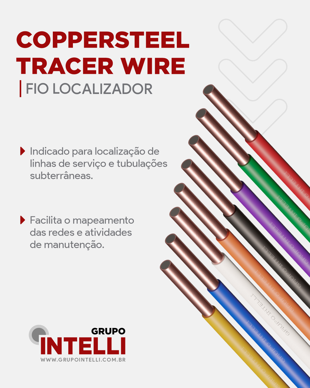 GRUPO INTELLI Facebook ad: GRUPO INTELLI (@grupo_intelli) • Instagram photos and videos