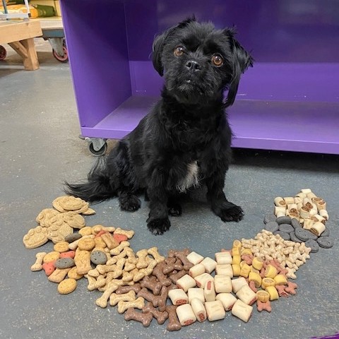 Pointer Dog Treats Facebook ad