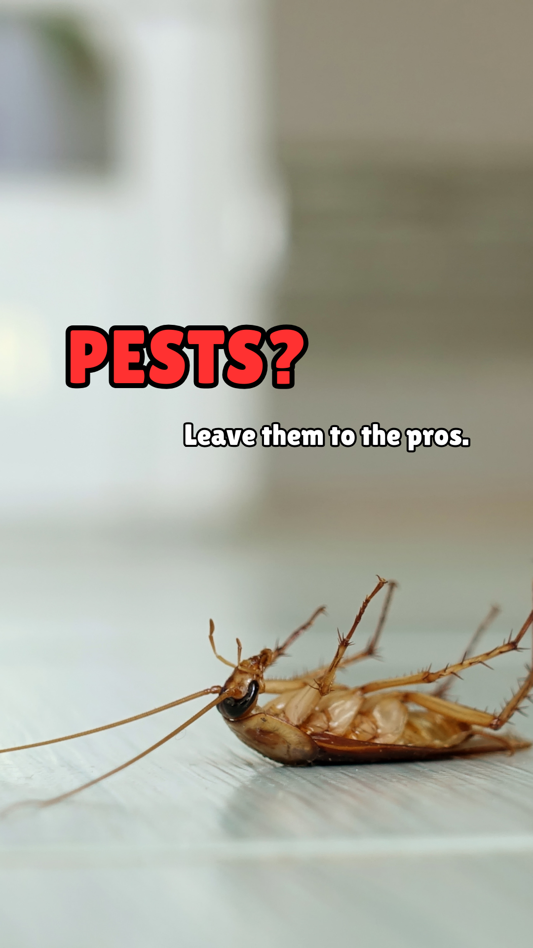 AAA Pest Control Facebook ad from Jan 27, 2026