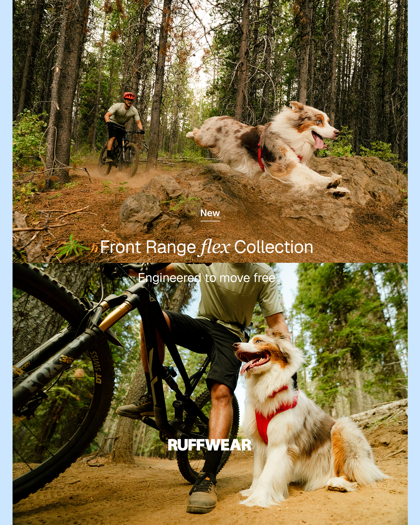 Ruffwear Facebook ad