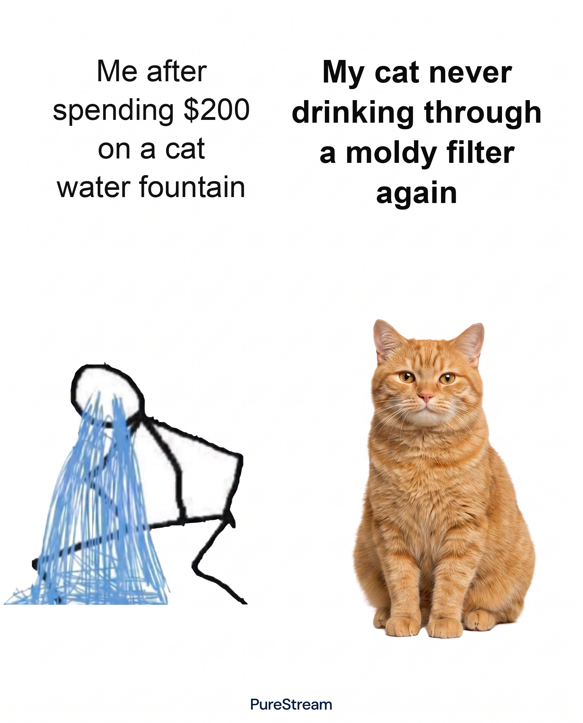 PureStream Facebook ad: The Last Fountain You'll Buy