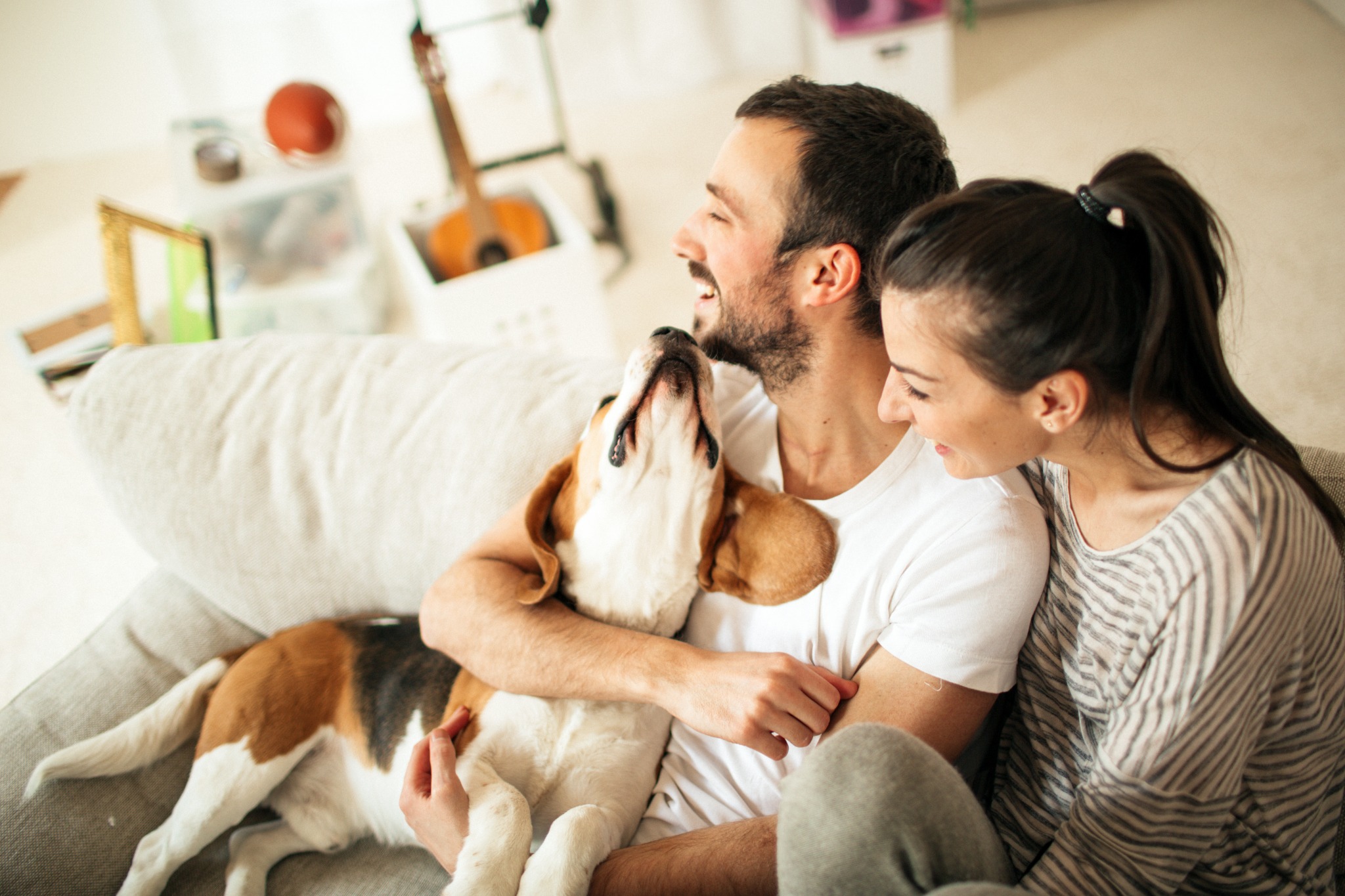 Nationwide Pet Facebook ad