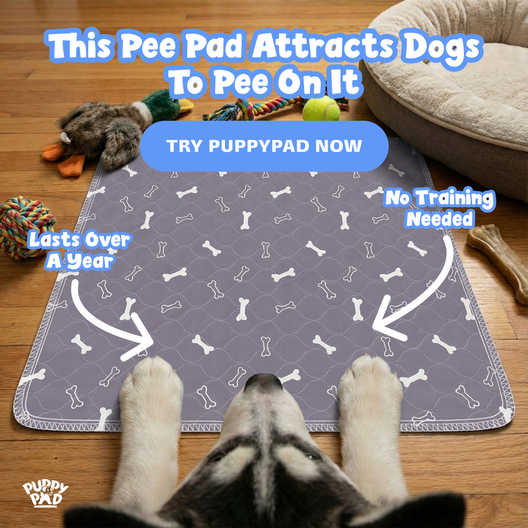 PuppyPad Facebook ad