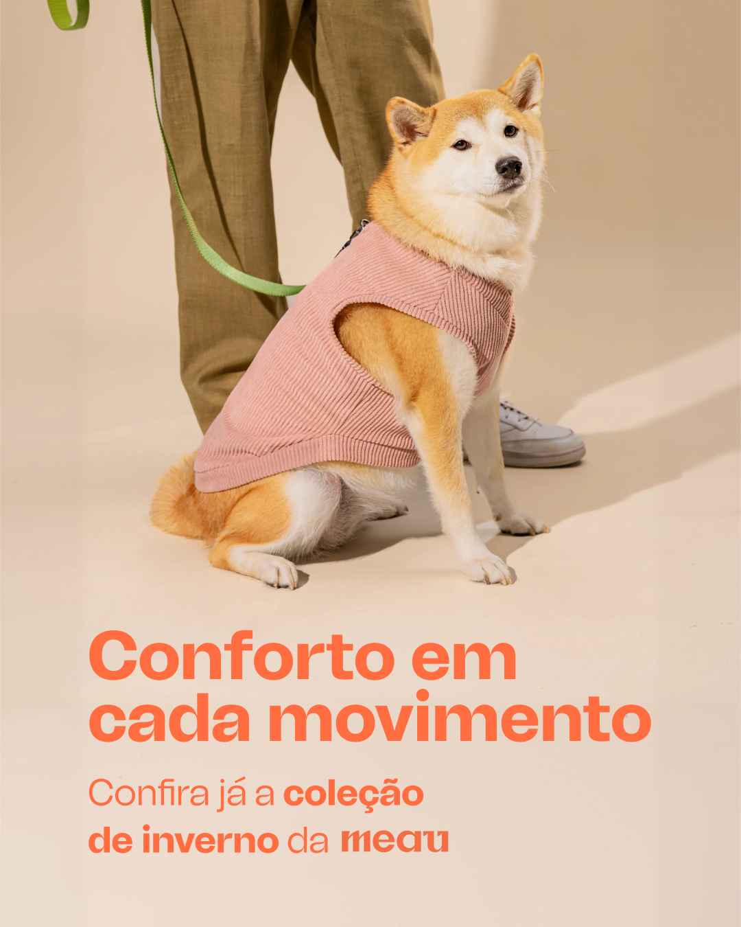 Petlove Facebook ad