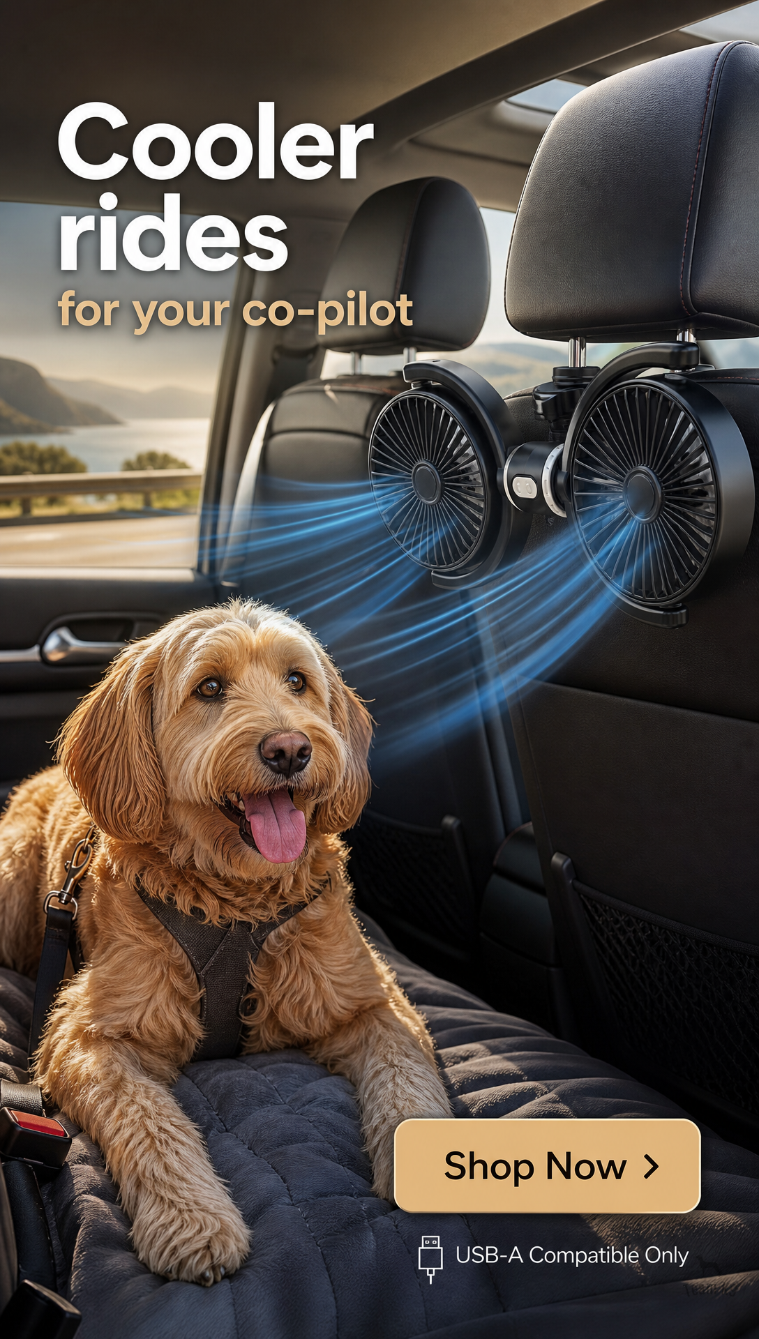 Team K9 Facebook ad