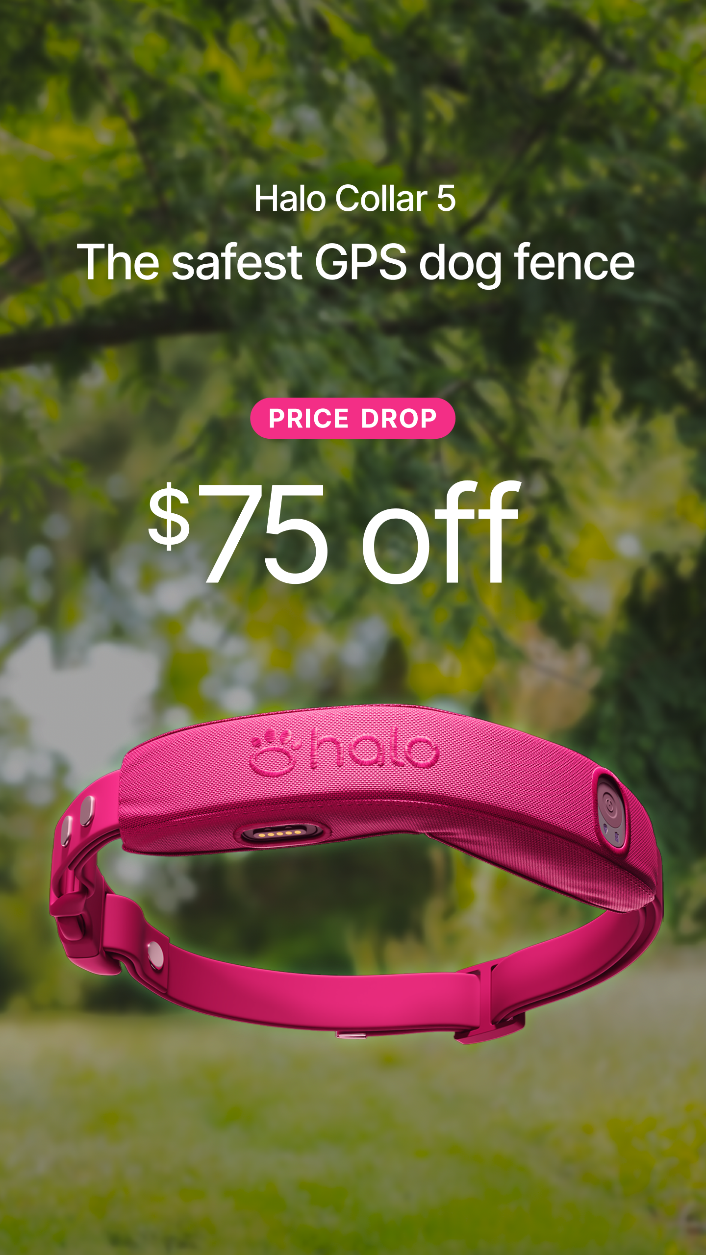 Halo Collar Facebook ad