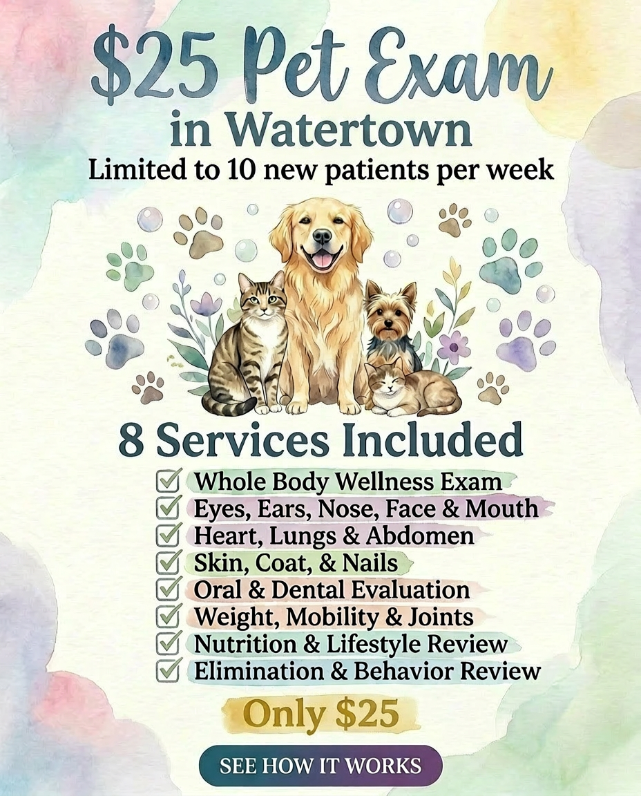 Gentle Healer Pet Clinic Facebook ad: Watertown Pet Exam for $25