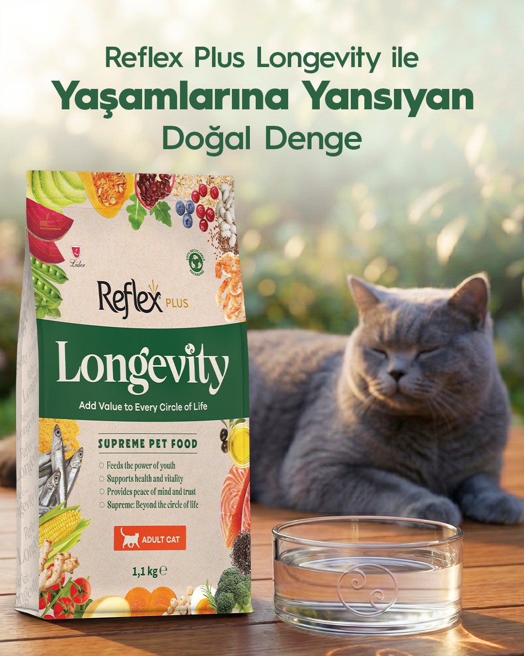 Reflex Plus Türkiye Facebook ad: Reflex Plus Longevity ile, patili dostlarımızın yaşamını…