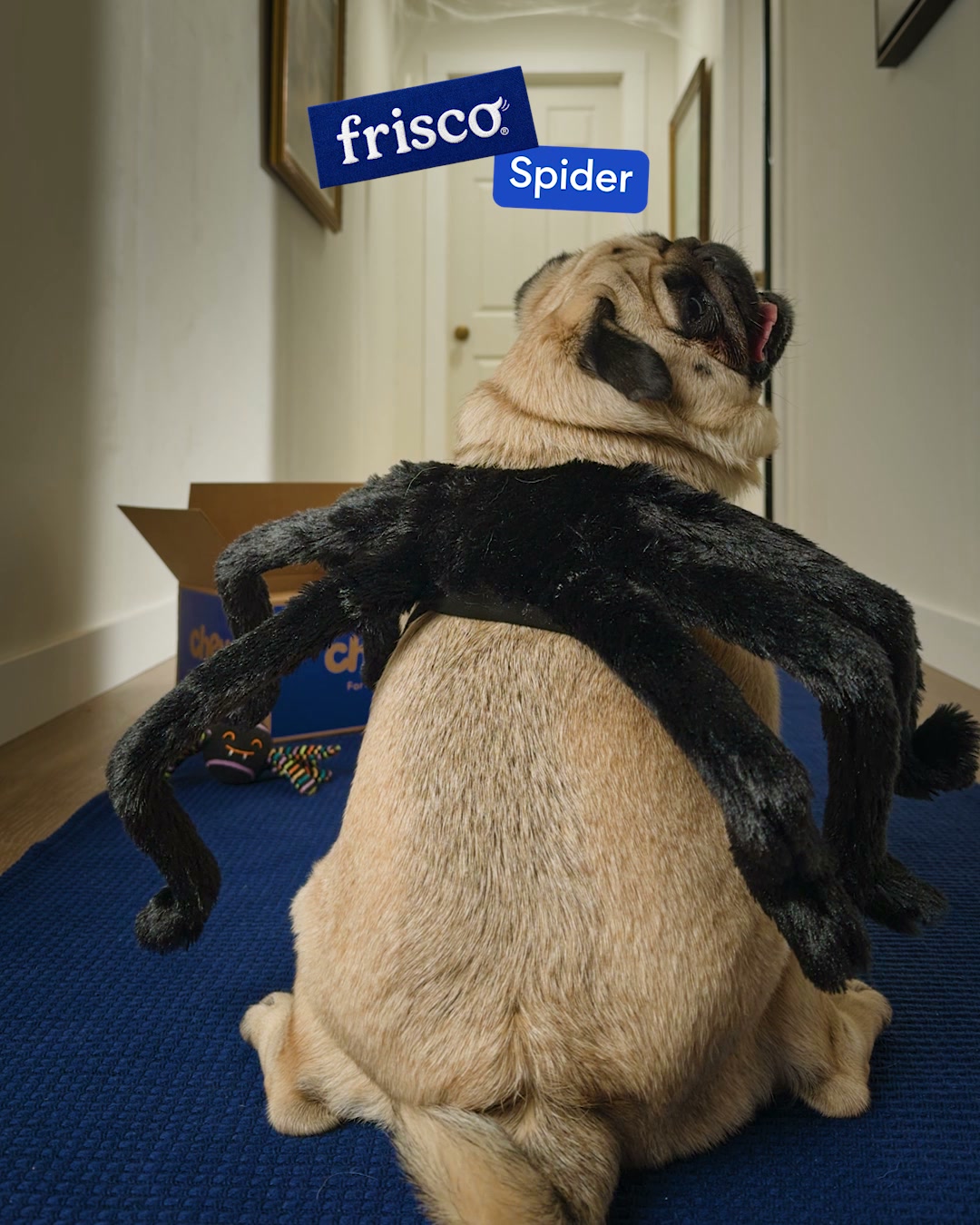 Chewy Facebook ad: Frisco dog costumes