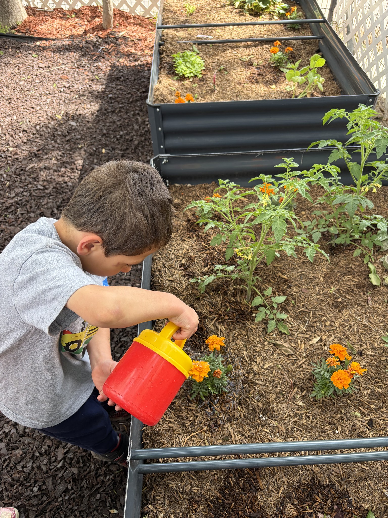 Little Learners Child Development Facebook ad: Happy Spring Gardening:)