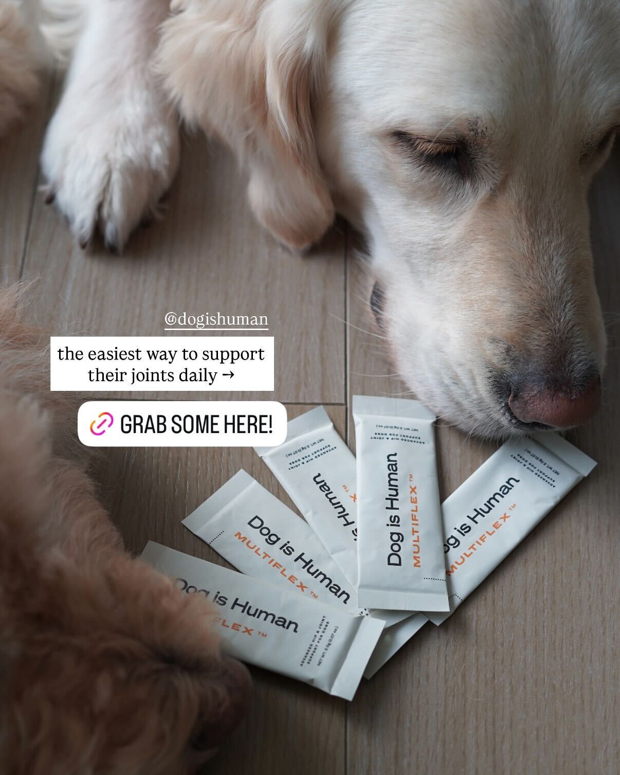 Dog is Human Facebook ad