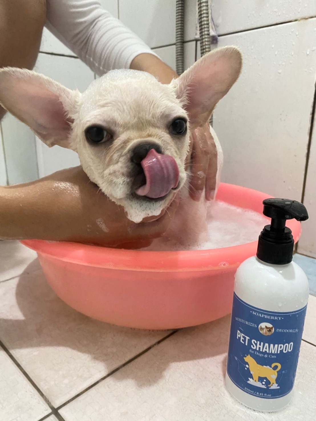 古寶無患子 Facebook ad