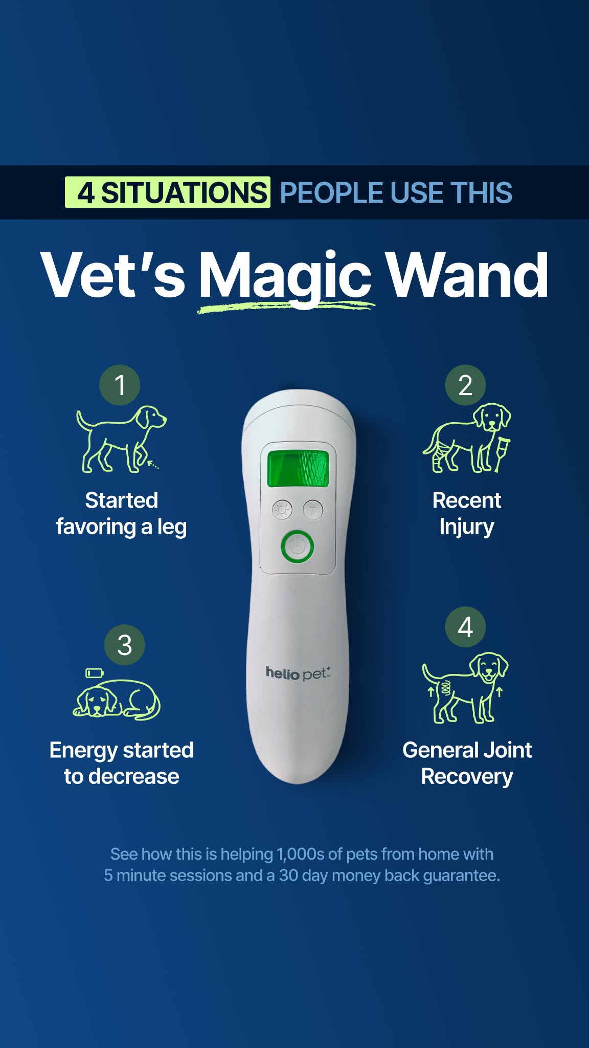 Helio Pet Facebook ad