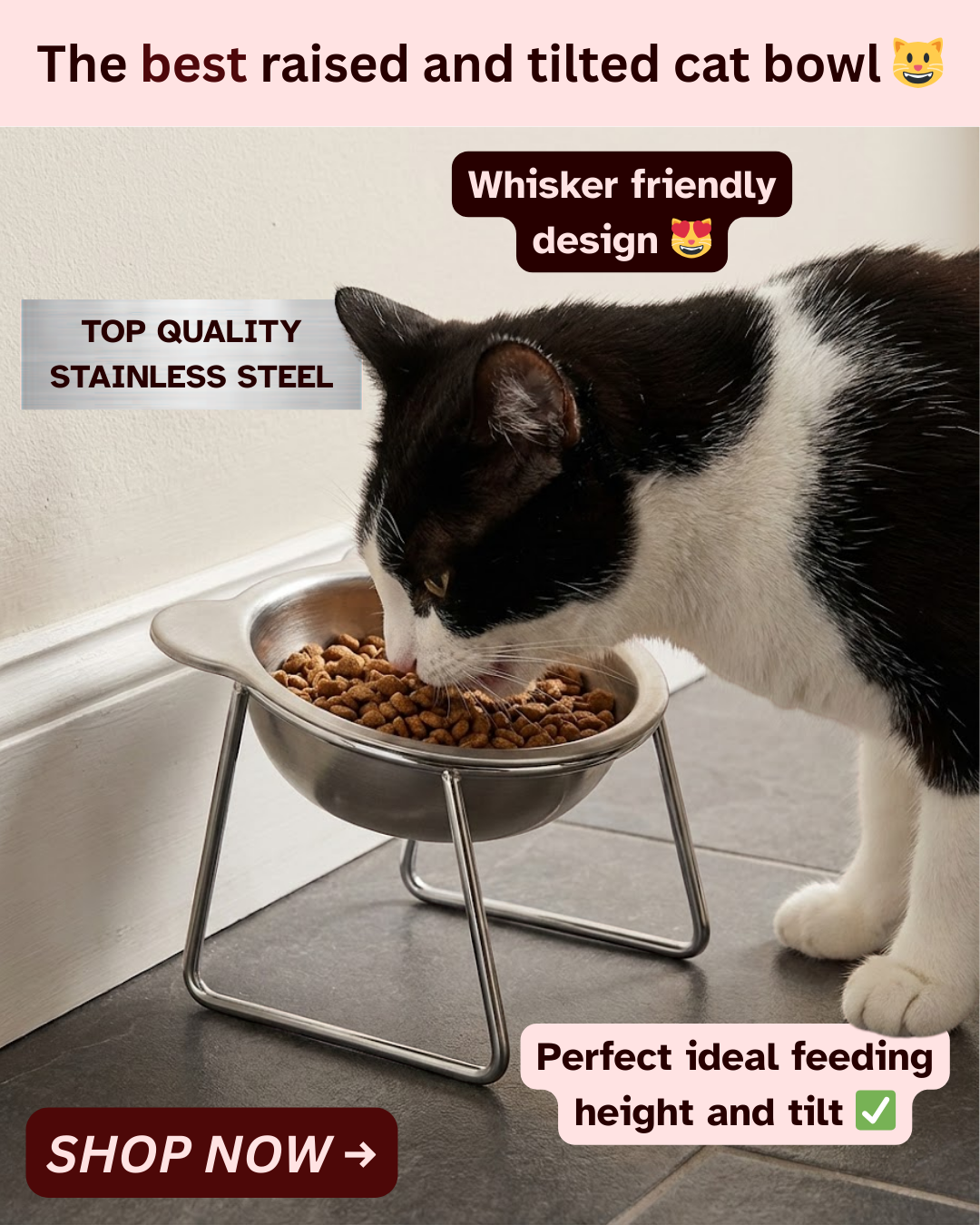 The Friendly Feline Facebook ad: Read this if you still use a standard cat bowl