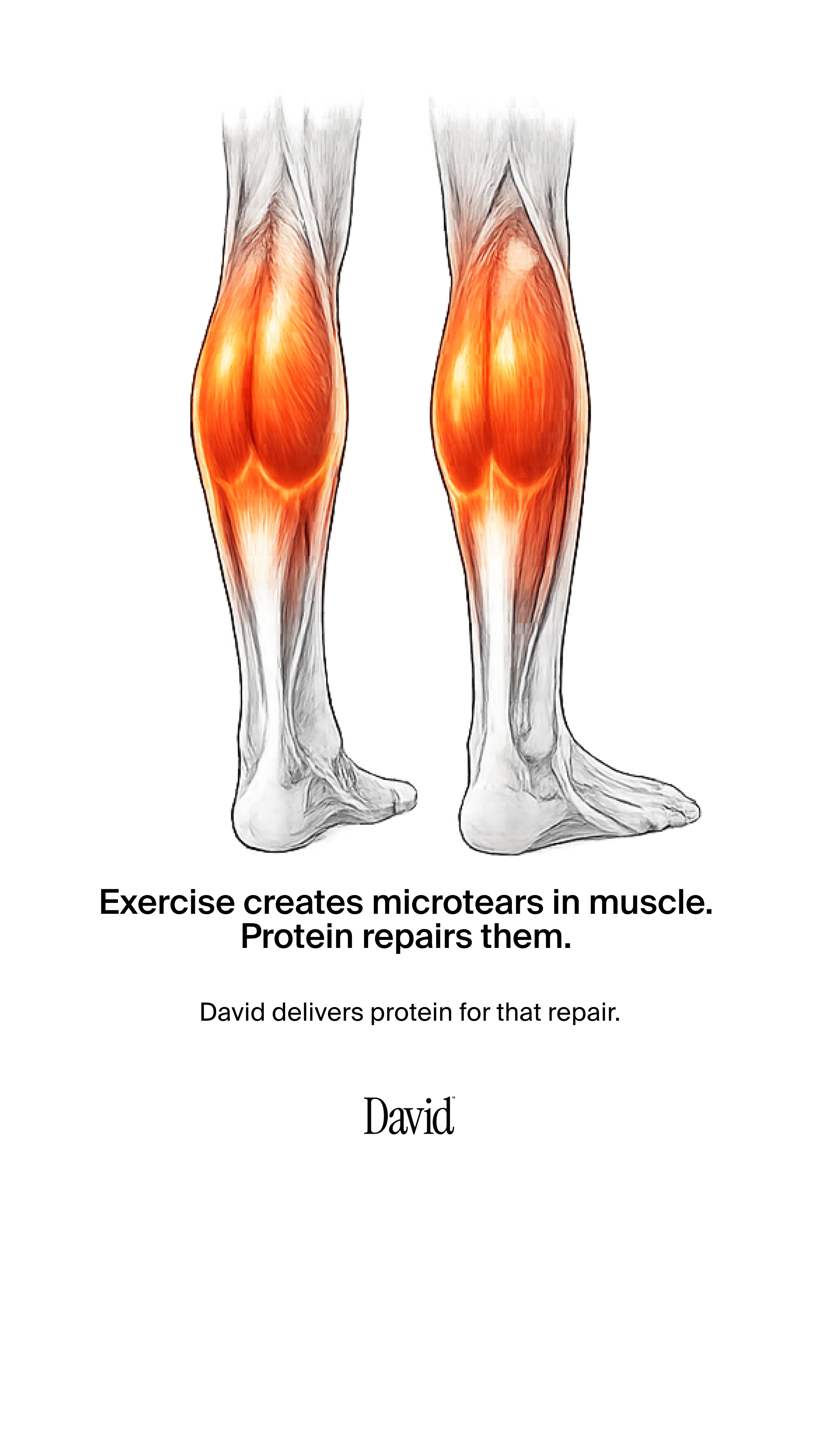 David Protein Facebook ad