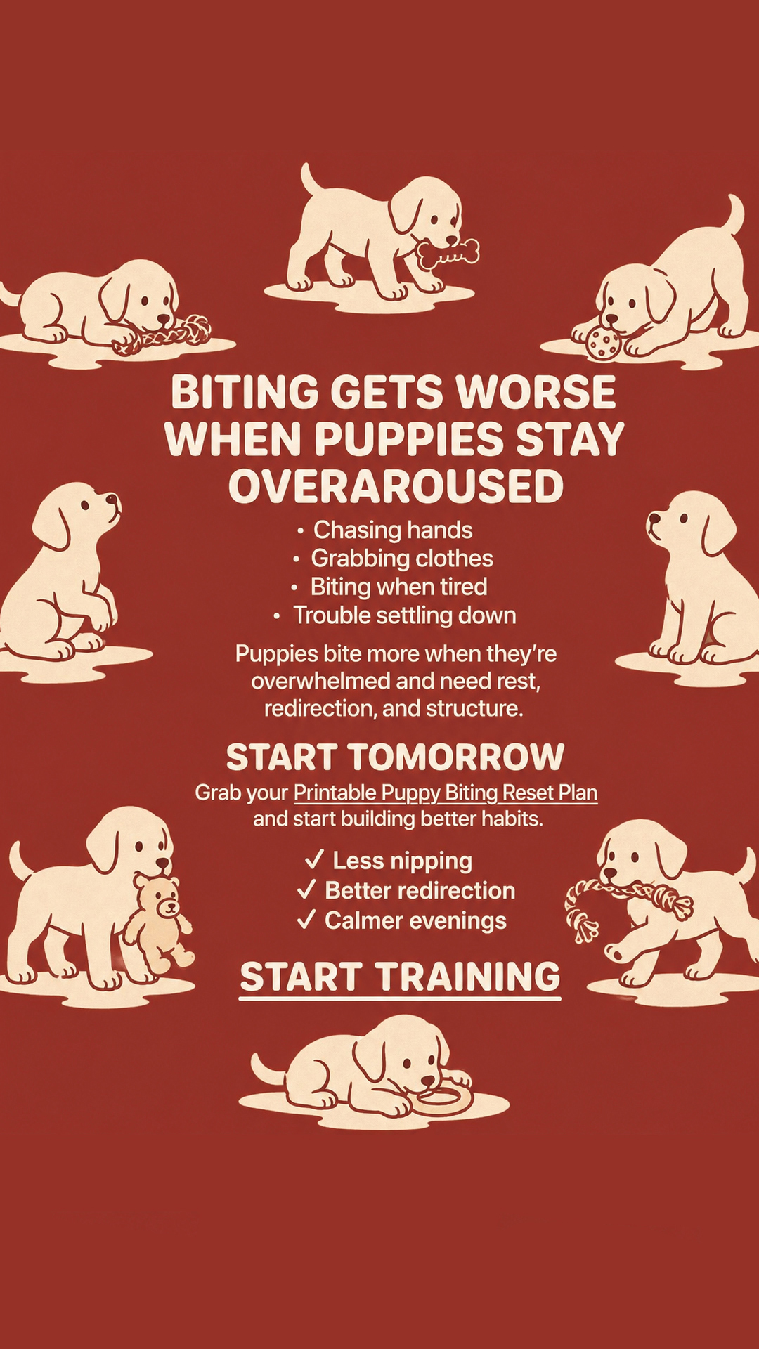Ben Your Puppy Trainer Facebook ad