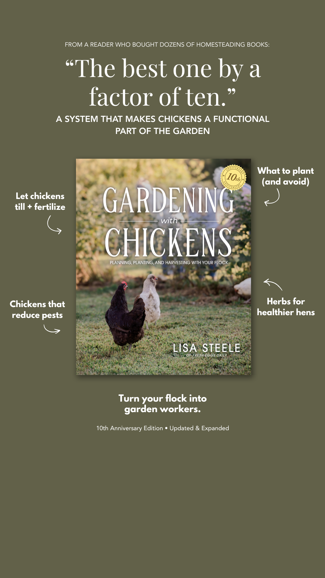 Lisa Steele - Fresh Eggs Daily Facebook ad