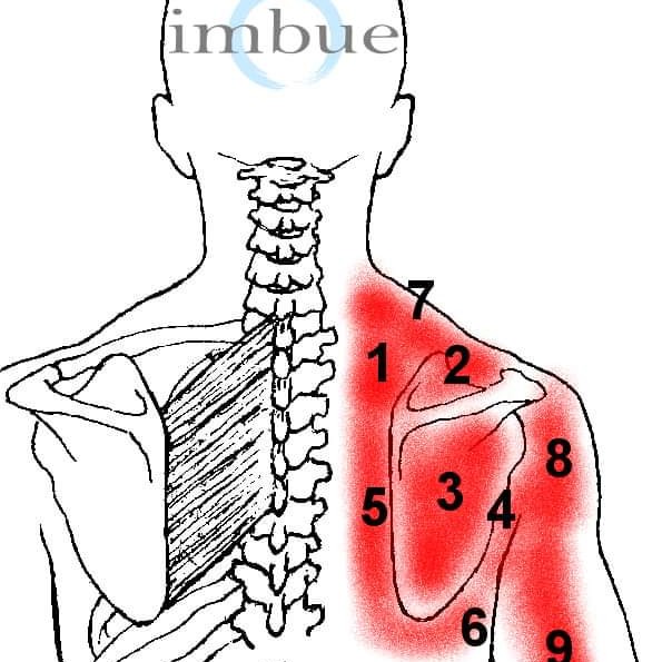 Gaborone Physiotherapy Clinic Facebook ad