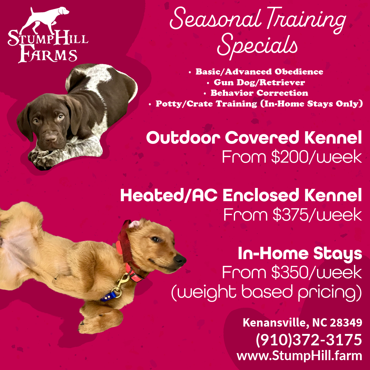 Stump Hill Farms - Kennel Facebook ad: Hurry! Spaces Limited