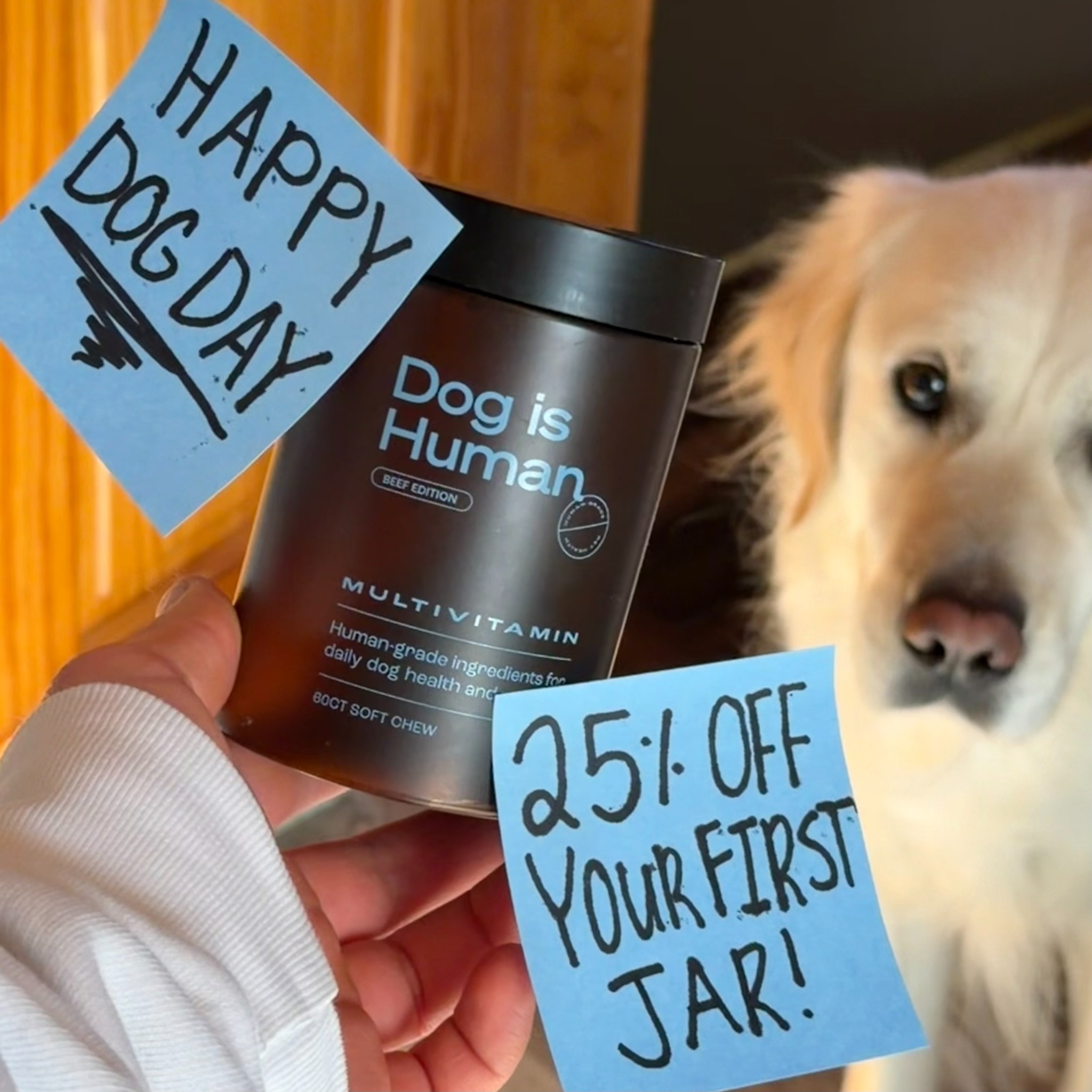 Loki The Floof Facebook ad from Feb 17, 2026